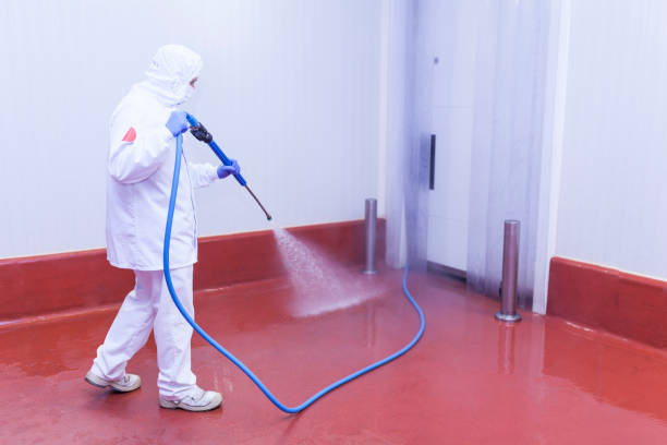 Best Parking Lot Cleaning in Bright, IN