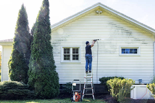 Best Fence Cleaning and Maintenance in Bright, IN